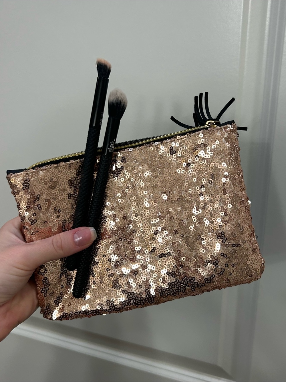 Set of two Moda pro makeup brushes and Ipsy Sequin Makeup Bag